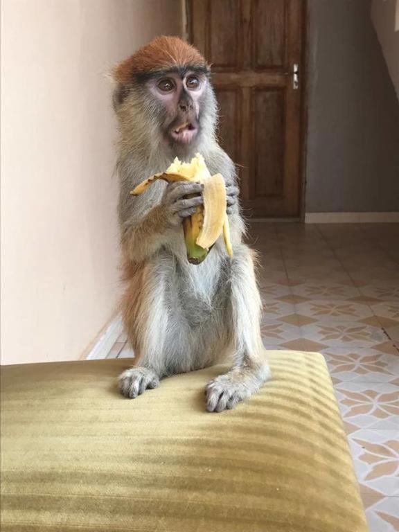 Auberge La Praline Toubakouta Kültér fotó